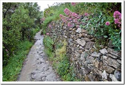 Scene from the trail from Corniglia to Vernazza